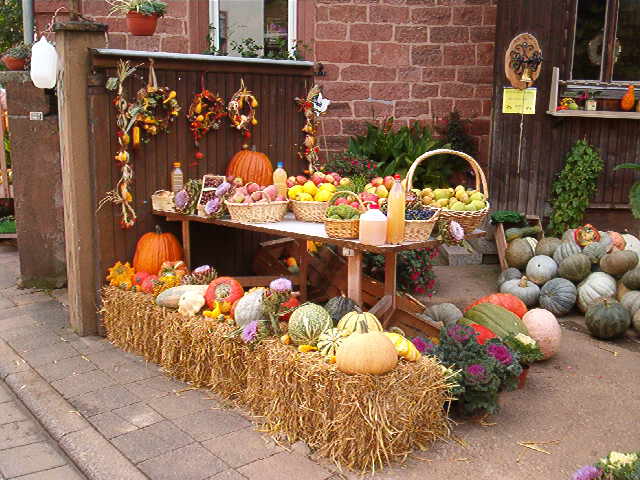 Hofeingang Herbst 2002