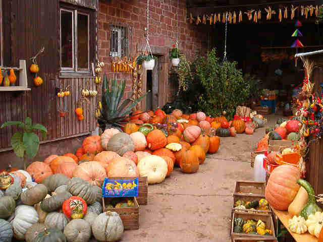 Herbst 2002  Krbishof Birkenhrdt